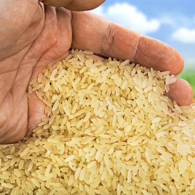 Classic Basmati Rice